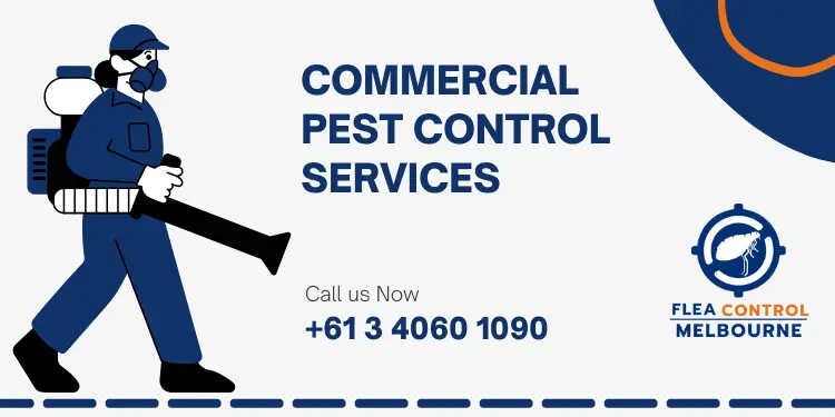 Surprising Secrets of New Commercial Pest Control Services commercial pest control services commercial pest control