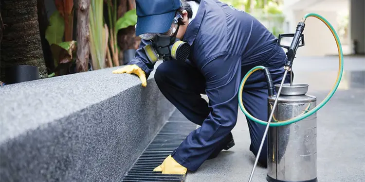 Theimpactofpestsonhealthhomeandproperty local pest control pest control pest control service