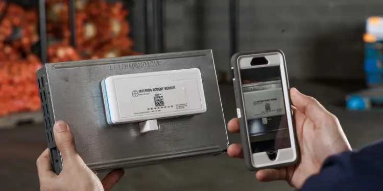 Using Technology for Enhanced Pest Control pest control service local pest control
