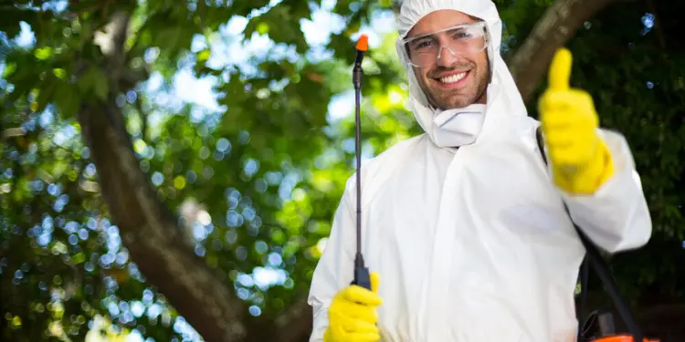 Why Choose ACT Pest Control? Expert Services for Effective Pest Management, Best Pest Inspections